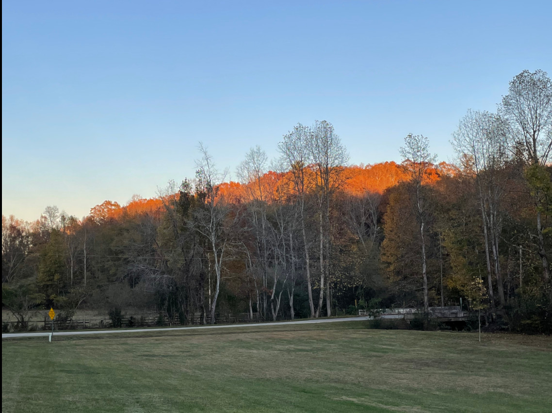 Primary Image for N4ALZ