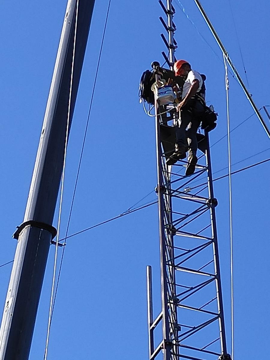 Primary Image for TM3Z