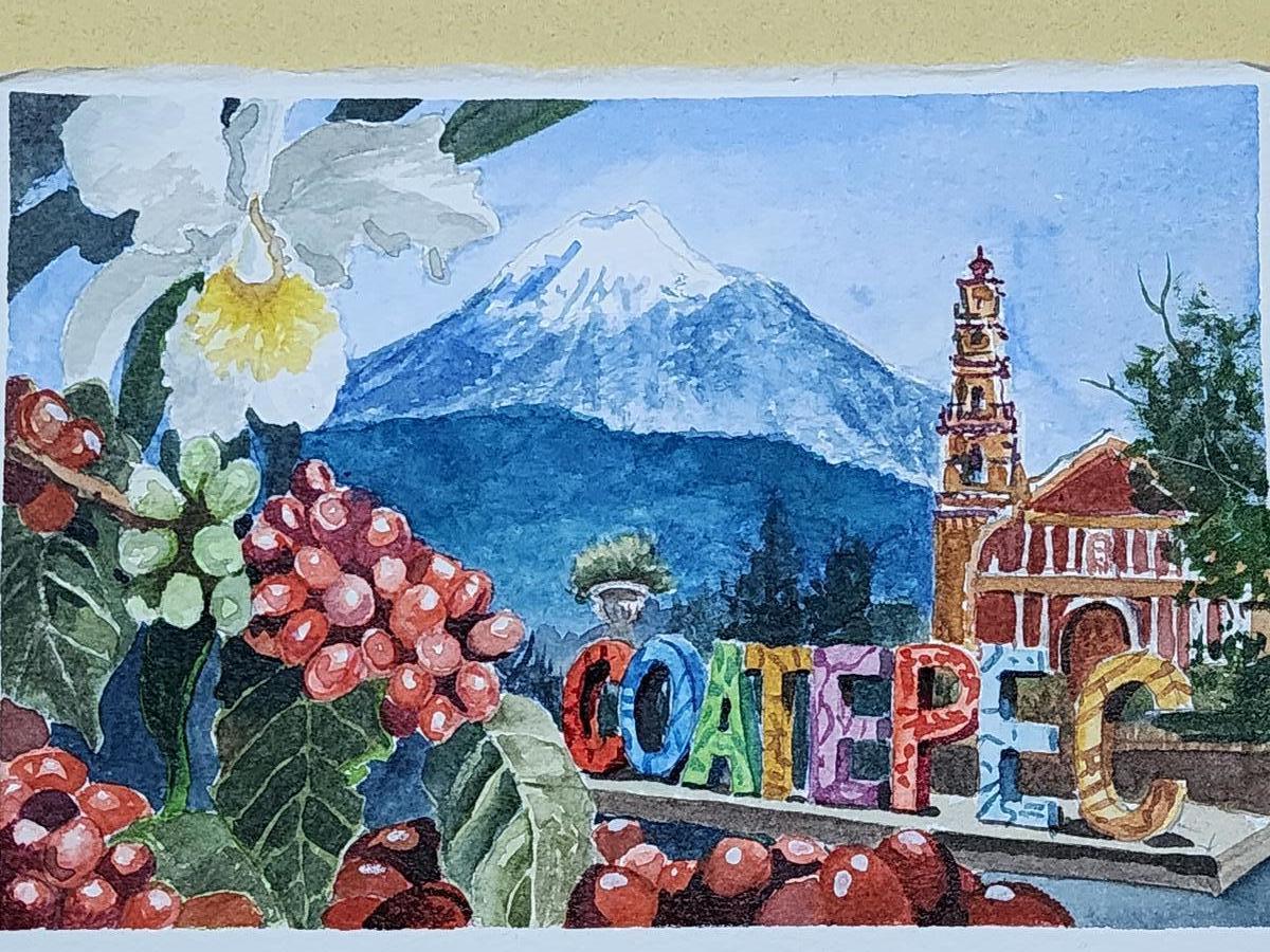 Primary Image for XE1UQZ